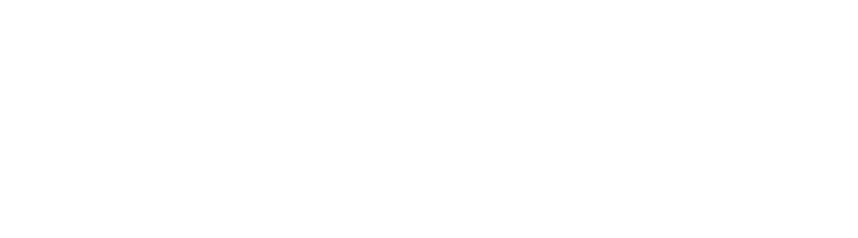 Logo transparent